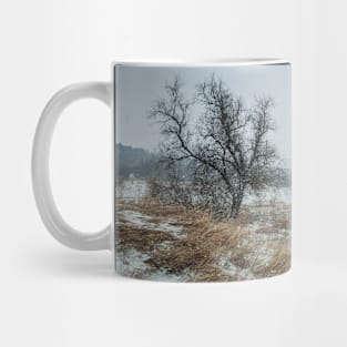 winter blizzard Mug